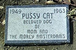 Pussy Cat Amsterdam