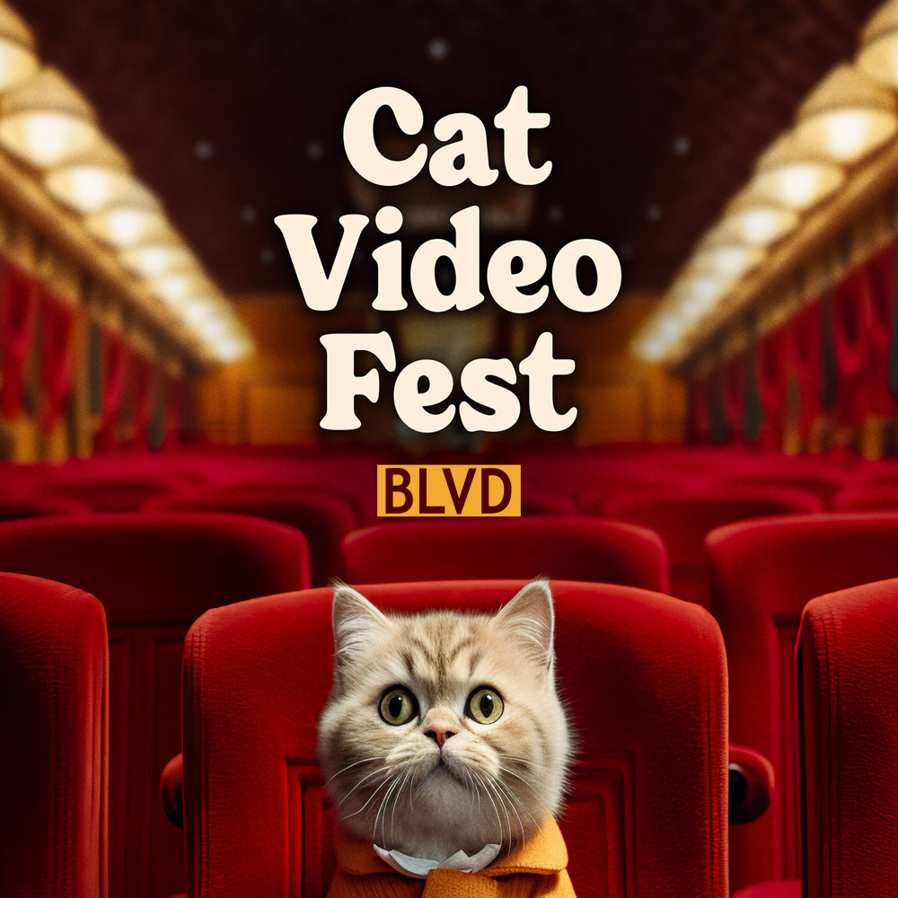 CAT VIDEO FEST